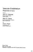 Vascular endothelium