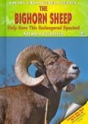 The Bighorn Sheep