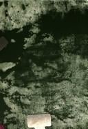 Evropa a doba poevropská