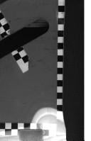 Violations of intellectual property right