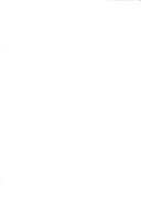 Organización y descentralización municipal