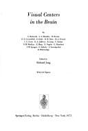 Central processing of visual information