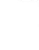 Supplement to the report on human rights in El Salvador