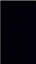 Deutschland im Luftkrieg: Geschichte und Erinnerung