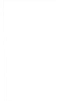 Das Parlament im Anstaltsstaat