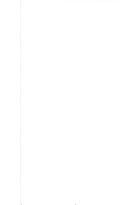 Zeremonialwissenschaft im Fürstenstaat