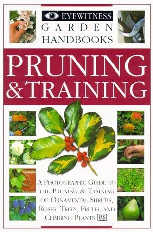 Pruning & training