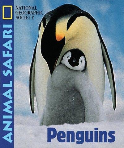 Animal Safari - Penguins