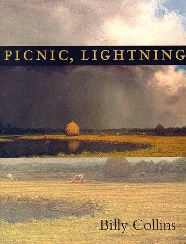 Picnic, lightning