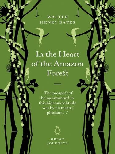 In the Heart of the Amazon Forest