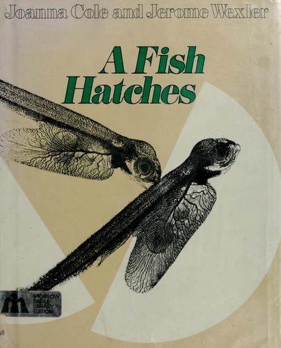 A Fish Hatches