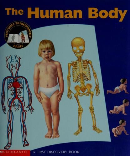 The human body
