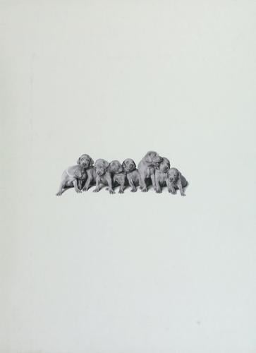 William Wegman's Puppies