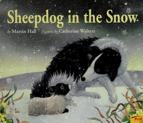 Sheepdog in the snow