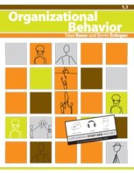 Organizational Behavior V1.1