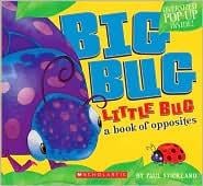Big Bug Little Bug