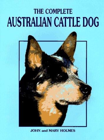 The complete Australian cattle dog