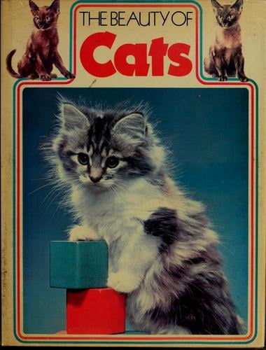 The beauty of cats