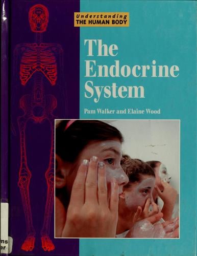 The endocrine system