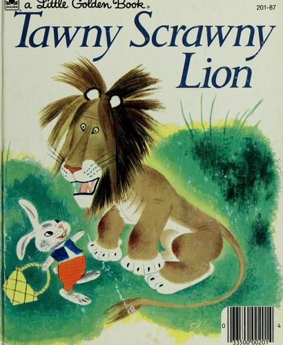 Tawny scrawny lion