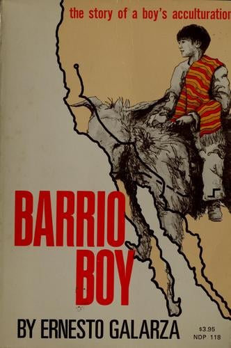 Barrio boy