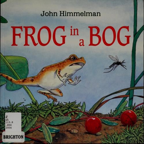Frog in a bog