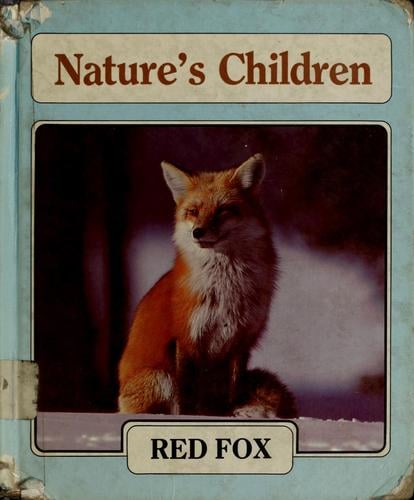 Red fox