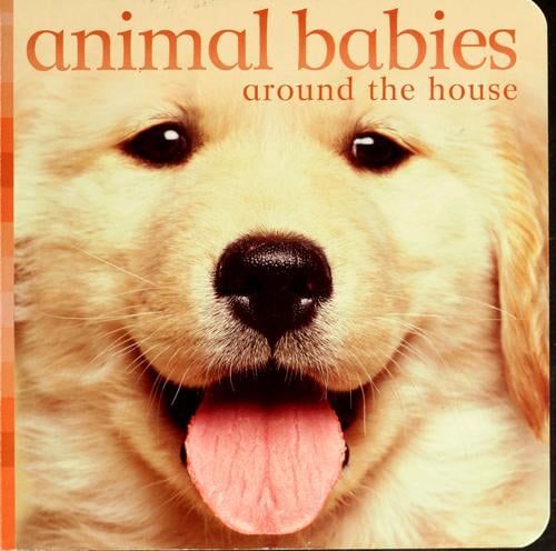 Animal babies