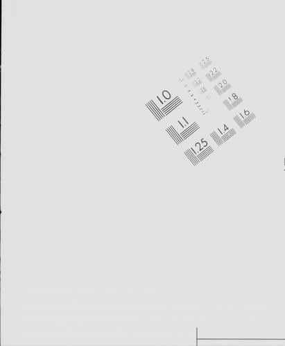 New Hampshire Patriot extra