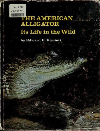 The American alligator