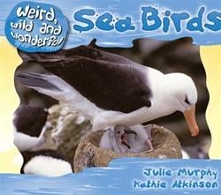 Sea birds