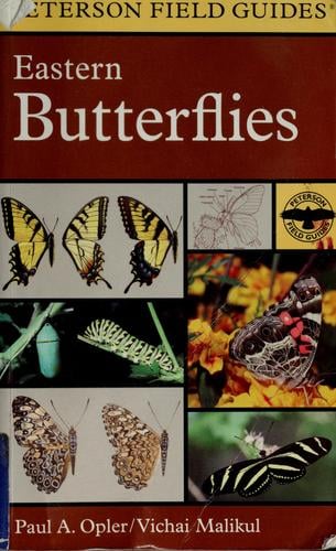 A field guide to eastern butterflies
