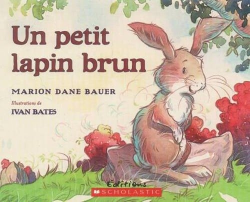 Un Petit Lapin Brun