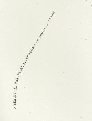 A beautiful marsupial afternoon