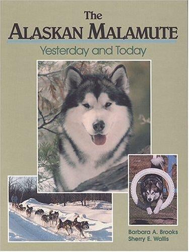 The Alaskan Malamute