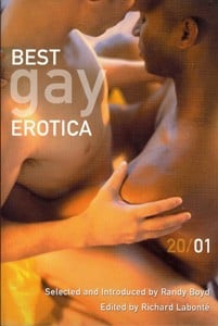 Best gay erotica 2001