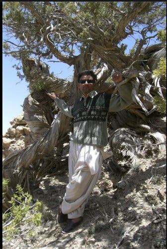 Perfect Software and Other Illusions About Testing