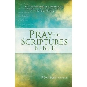 Pray the Scriptures Bible 