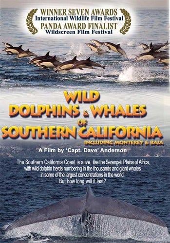 Wild Dolphins & Whales of Southern California, Including Monterey & Baja [videorecording]