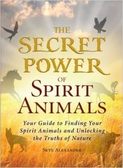 The Secret Power of Spirit Animals: Your Guide to Finding Your Spirit ...