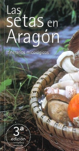 Las setas en Aragón