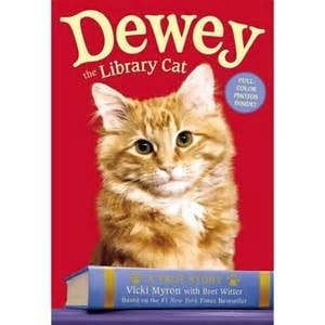 Dewey the library cat