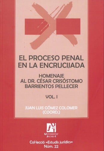 El proceso penal en la encrucijada Vol. I