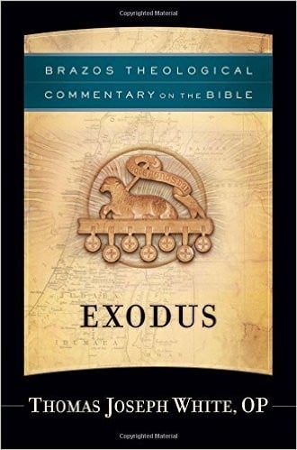 Exodus (Brazos Theological Commentary on the Bible)