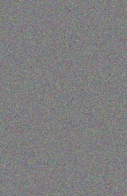 The Warrior Sheep Go West