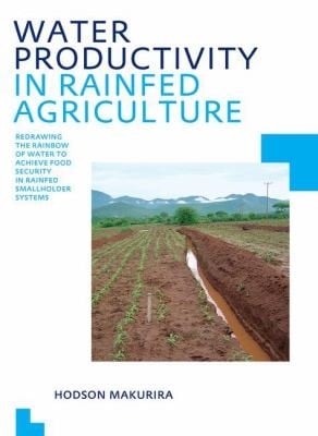 Water Productivity In Rainfed Agriculture Redrawing The Rainbow Of Water To Achieve Food Security In Rainfed Smallholder Systems
