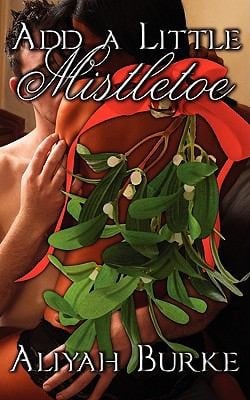 Add A Little Mistletoe A Short Novel Of Sensual Romance