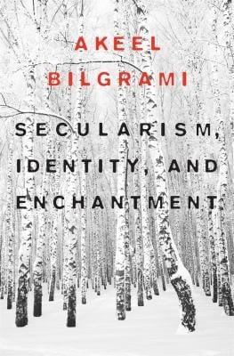 Secularism Identity And Enchantment
