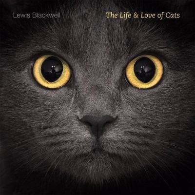 The Life And Love Of Cats