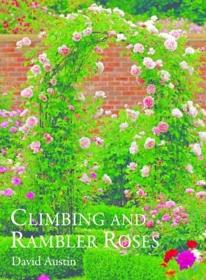Climbing Roses